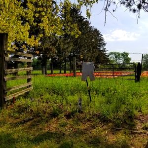 Meet your Posher, Tonja